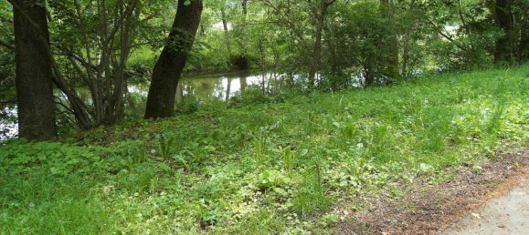 Land in Rems-Murr-Kreis, Germany No. 361919 2