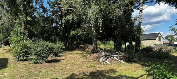 Grundstück in Potsdam-Mittelmark, Germany, Nr. 316516 5