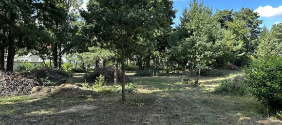 Grundstück in Potsdam-Mittelmark, Germany, Nr. 316516 3