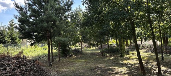 Grundstück in Potsdam-Mittelmark, Germany, Nr. 316516 2