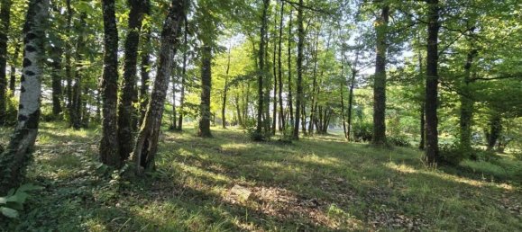 Casa T4 em Charente, France N.º 291940 15