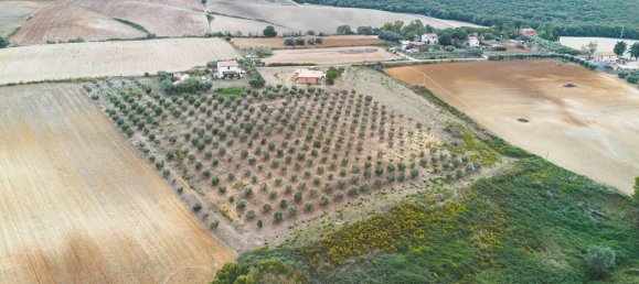 6 rooms Villa in Tarquinia, Italy No. 73242 43