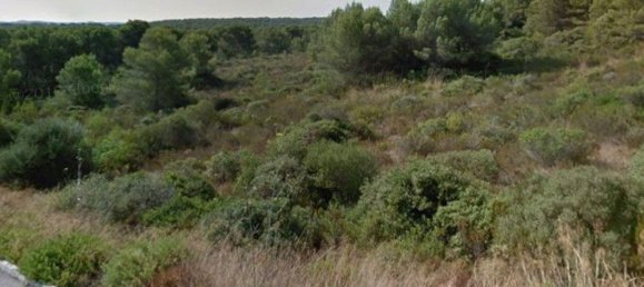 Grundstück in Menorca, Spain, Nr. 145841 2