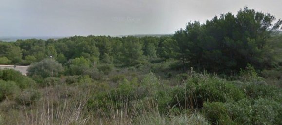 Grundstück in Menorca, Spain, Nr. 145841 3