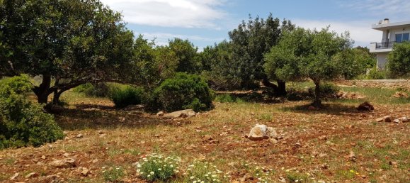 4542m² hôtel à vendre à Agios Nikolaos, Lasithi, Crete, Greece № 4919 4