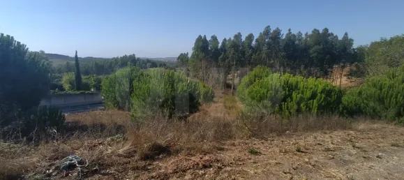 Grundstück in Lourinha, Portugal, Nr. 74412 9