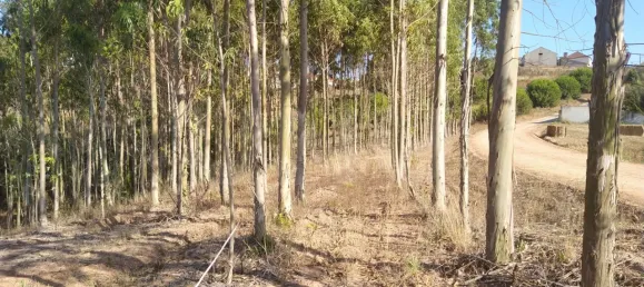 Grundstück in Lourinha, Portugal, Nr. 74412 15