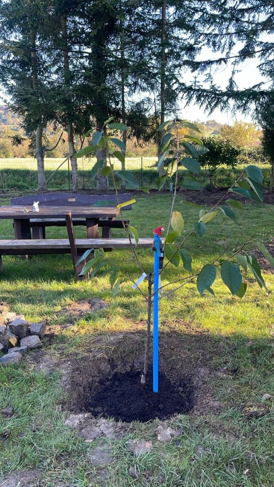 Земельный участок в Майн-Кинциг, Германия № 359053