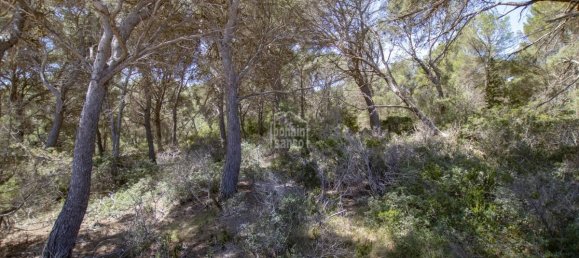 Grundstück in Es Mercadal, Spain 5740m², Nr. 5161 5