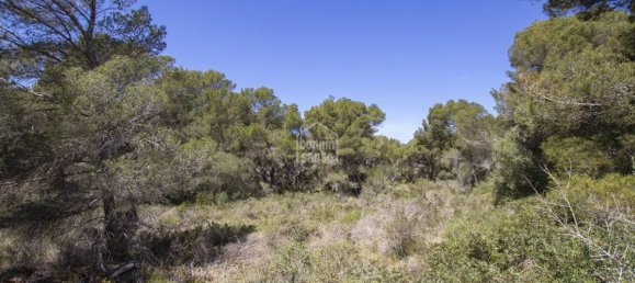 Grundstück in Es Mercadal, Spain 5740m², Nr. 5161 12