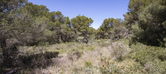 Grundstück in Es Mercadal, Spain 5740m², Nr. 5161 11