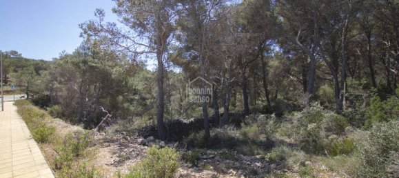 Grundstück in Es Mercadal, Spain 5740m², Nr. 5161 6