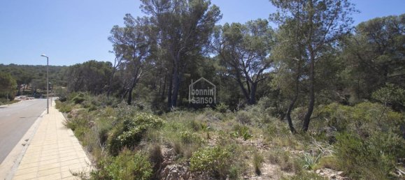 Grundstück in Es Mercadal, Spain 5740m², Nr. 5161 4