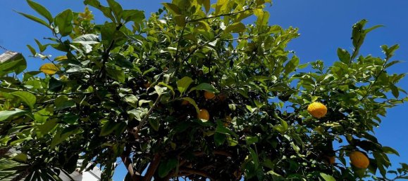 3 chambres Maison à Alicante, Spain No. 150509 29