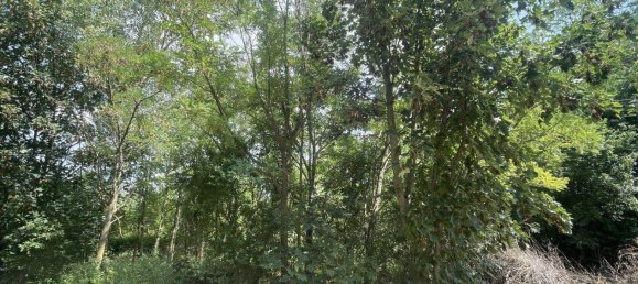 Terreno en Nickelsdorf, Austria 1837 m² No. 211216 2