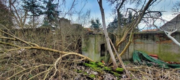 5-Zimmer Haus in Elbe-Elster, Germany, Nr. 50960 3