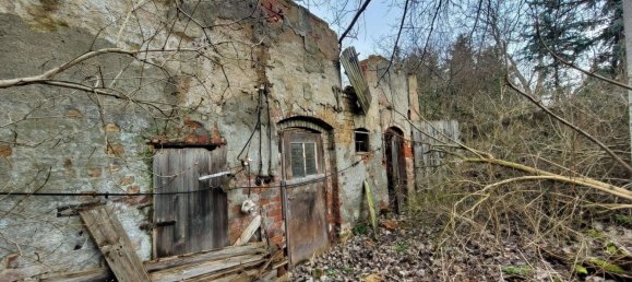 5-Zimmer Haus in Elbe-Elster, Germany, Nr. 50960 4