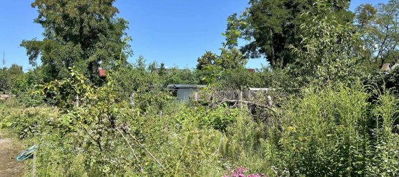 5-Zimmer Haus in Oberspreewald-Lausitz, Germany, Nr. 327430 11