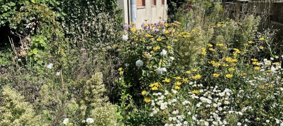 5-Zimmer Haus in Oberspreewald-Lausitz, Germany, Nr. 327430 9