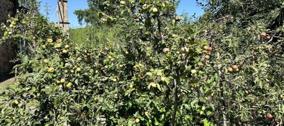 5-Zimmer Haus in Oberspreewald-Lausitz, Germany, Nr. 327430 10