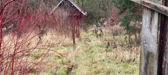 3 chambres Maison de ville à Zwickau, Germany No. 312161 17