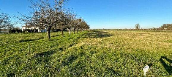  Land in Gemozac, France No. 104432 6