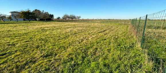  Land in Gemozac, France No. 104432 4