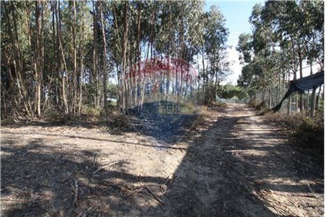 7500m² Land in Palmela, Portugal No. 60038