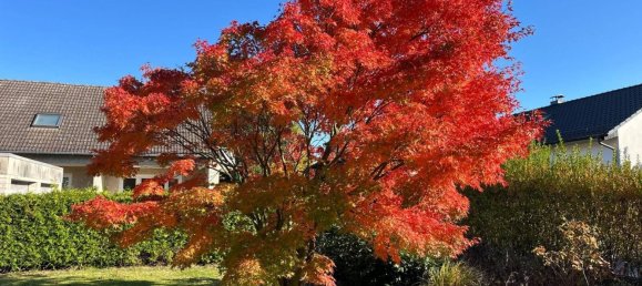 3 Schlafzimmer Haus in Wolfsburg, Germany, Nr. 70079 14