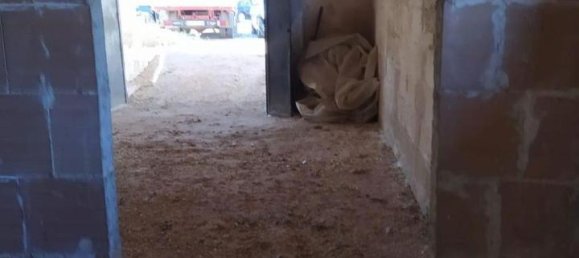 11 rooms House in Sava, Italy No. 25783 14