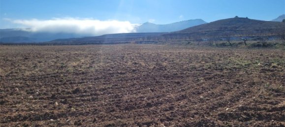 8000m² Land in Zaragoza, Spain No. 159165 2