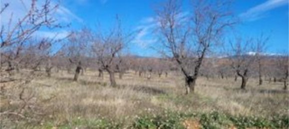 8000m² Land in Zaragoza, Spain No. 159165 6