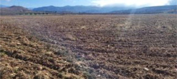 8000m² Land in Zaragoza, Spain No. 159165 5