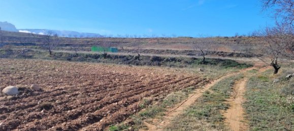 8000m² Land in Zaragoza, Spain No. 159165 3