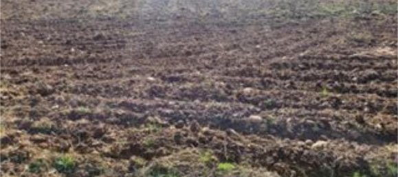 8000m² Land in Zaragoza, Spain No. 159165 4