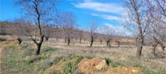 8000m² Land in Zaragoza, Spain No. 159165 7