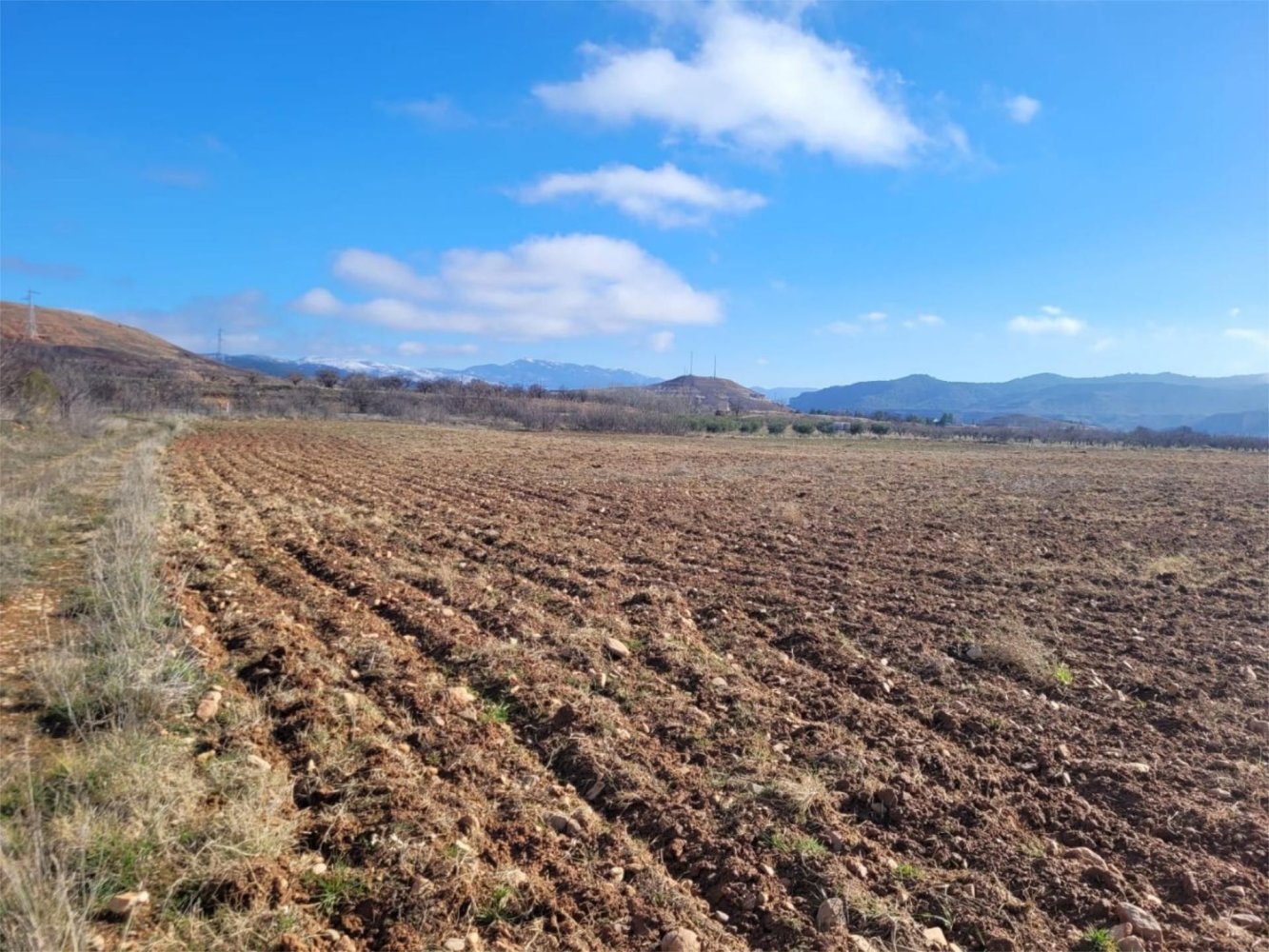 8000m² Land in Zaragoza, Spain No. 159165