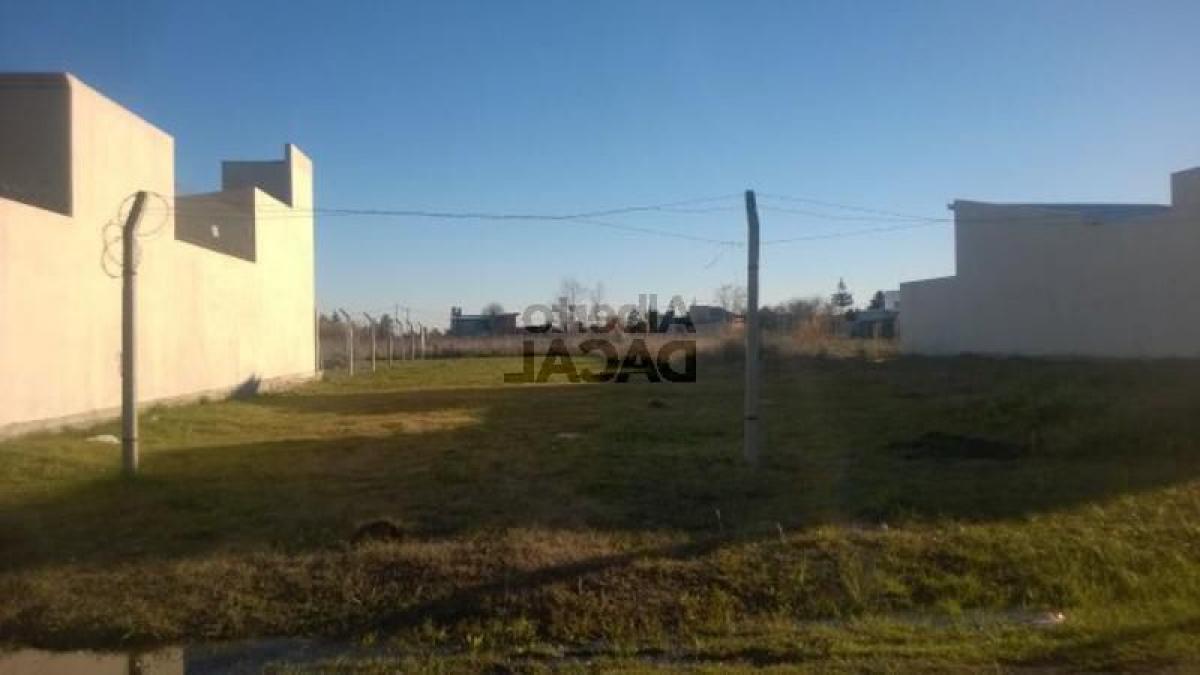  Land in Campo Creado, Argentina No. 49626