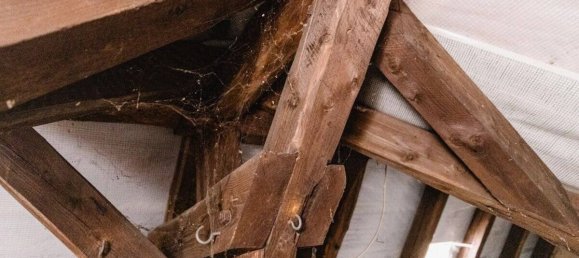 10 rooms House in Osnabruck, Germany No. 199154 24