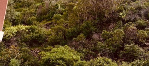 9 rooms House in Sardinia, Italy No. 246659 52