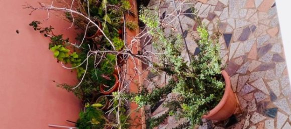 9 rooms House in Sardinia, Italy No. 246659 55