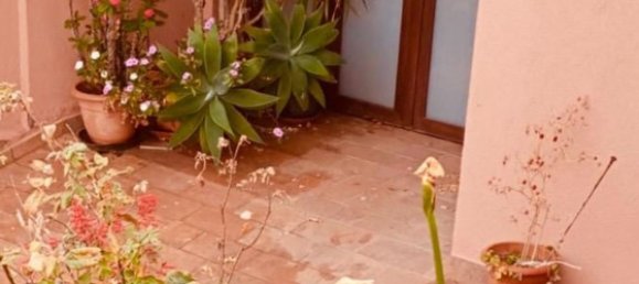 9 rooms House in Sardinia, Italy No. 246659 3