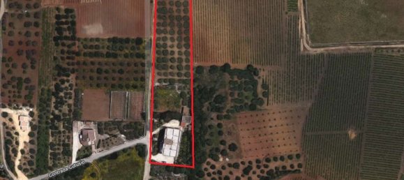 Здание 800м² в Марсала, Италия № 157043 4