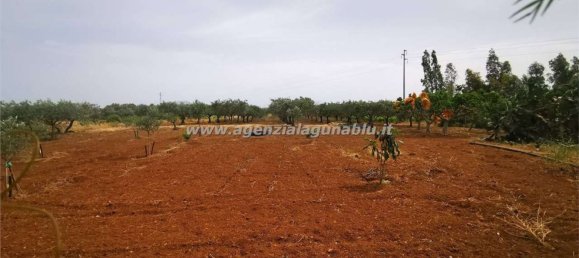 Здание 800м² в Марсала, Италия № 157043 6