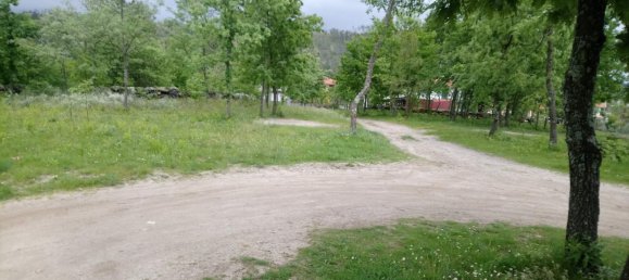 قطعة أرض في Baiao, Portugal رقم 56093 5