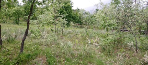 قطعة أرض في Baiao, Portugal رقم 56093 4