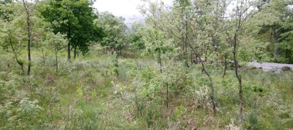 قطعة أرض في Baiao, Portugal رقم 56093 2