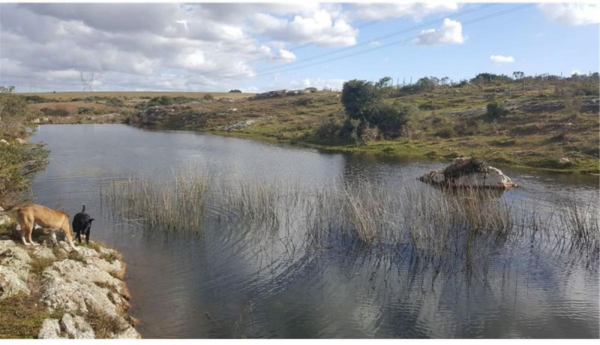 2 غرف نوم منزل في Maldonado, Uruguay رقم 9302