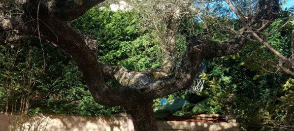 7 rooms Villa in Collecorvino, Italy No. 188070 5