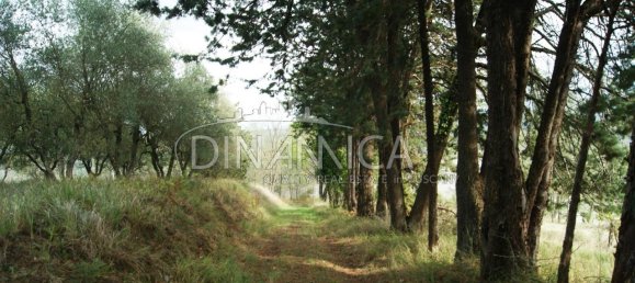 Casa de 4 divisões em Peccioli, Italy N.º 232271 27